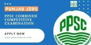 PPSC Combined Competitive Examination 2021-22