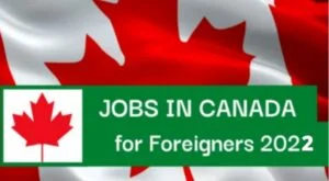 Dishwasher Jobs in Canada 